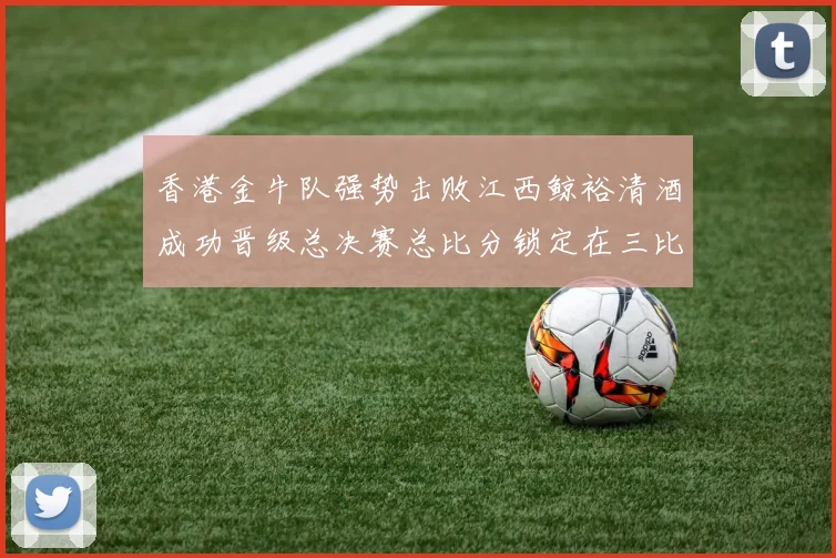香港金牛队强势击败江西鲸裕清酒成功晋级总决赛总比分锁定在三比零