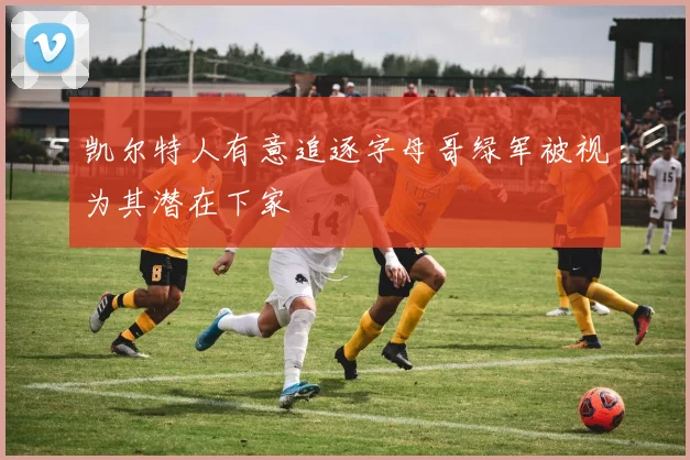 凯尔特人有意追逐字母哥绿军被视为其潜在下家